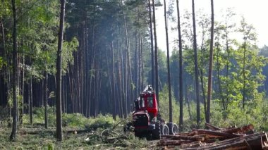 Makinenin işletimi odun kesmek, üretim için kereste toplamak.