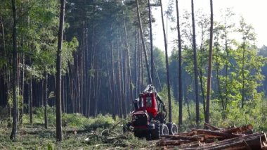Makinenin işletimi odun kesmek, üretim için kereste toplamak.
