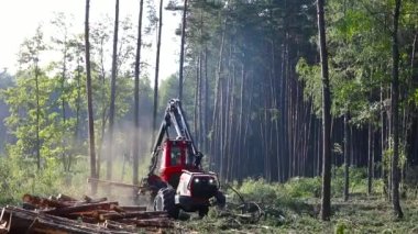 Makinenin işletimi odun kesmek, üretim için kereste toplamak.