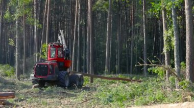 Orman kesme, kereste biçme, özel ekipmanla orman kesme.