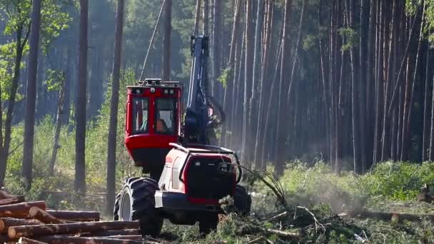 Werking Van Machine Voor Het Snijden Van Hout Het Oogsten — Stockvideo