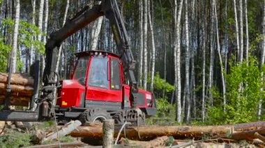 Kereste yükleme, kereste işleme, pençe ile kereste yükleme.