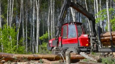 Kereste yükleme, kereste işleme, pençe ile kereste yükleme.