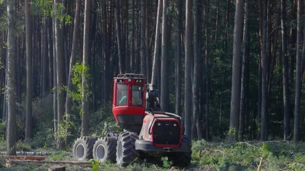 森林砍伐 木材收割机 带有专用设备的森林砍伐 — 图库视频影像