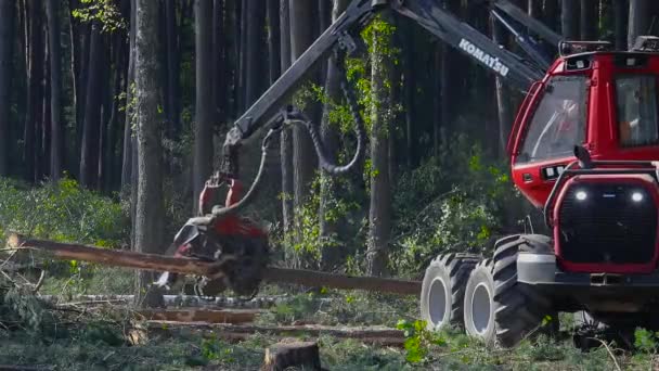 Лісозаготівля Лісозаготівля Лісозаготівля Спеціальним Обладнанням — стокове відео