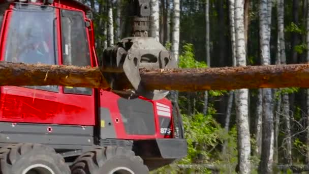 Timber Loading Timber Processing Timber Loading Claw — Stock Video
