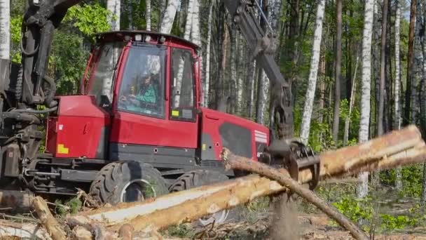 Carregamento Madeira Processamento Madeira Carregamento Madeira Com Uma Garra — Vídeo de Stock