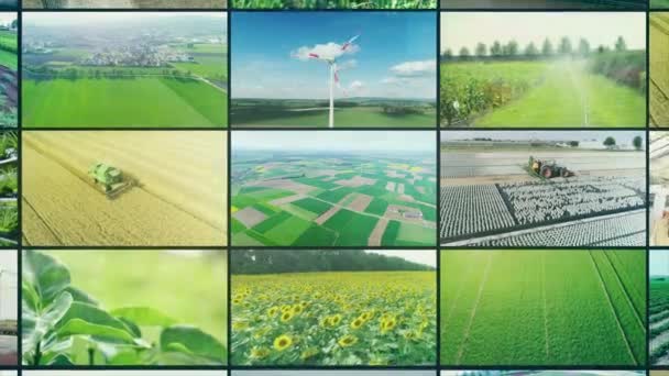 農業産業ビデオウォール 農業用ビデオマルチスクリーン ビデオクリップの田舎のコラージュ 農業分割画面 — ストック動画