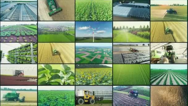 Agricultural Industry Video Wall Agricultural Video Multiscreen Collage Video Clips — Video