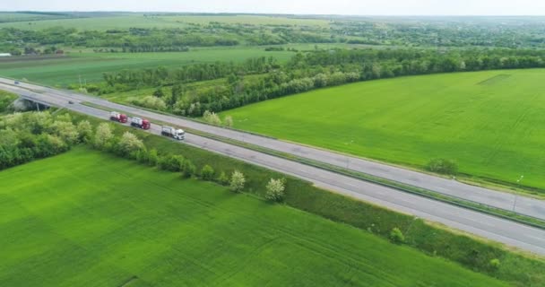 Los Camiones Están Conduciendo Largo Carretera Cerca Del Campo Verde — Vídeo de stock