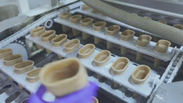 一个女人把华夫饼杯放在传送带线上 冰淇淋的生产 粮食生产 — 图库视频影像