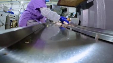 Taşıyıcı üzerinde çalışan bir işçi dondurma serer. Fabrikada dondurma üretimi. Taşıyıcı üzerinde çalış. Montaj hattında rutin çalışma.