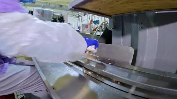Ein Arbeiter Auf Einem Förderband Legt Eis Aus Produktion Von — Stockvideo