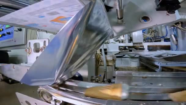 Produkce Zmrzliny Automatizovaná Výroba Zmrzliny Automatizovaná Linka Výrobu Zmrzliny — Stock video