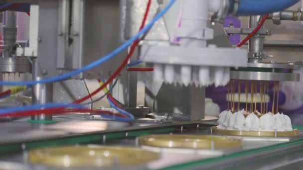 Автоматизированное Производство Мороженого Автоматический Конвейер Создания Торта Мороженым Мороженое Выжатое — стоковое видео