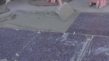 The builder lays tiles on the cement mortar. Construction worker laying tiles on the floor for mortar.
