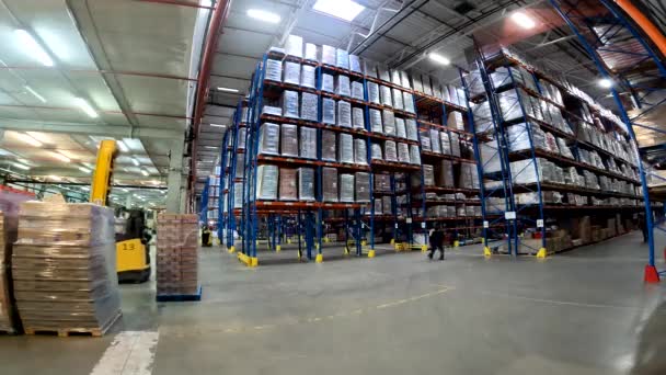 Large Warehouse Workers Work Warehouse General Plan Time Lapse Workflow — Stockvideo