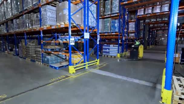 Large Warehouse Factory General Plan Work Factory Warehouse General Plan — Stok video