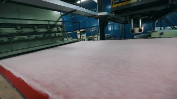 Produção Materiais Não Cana Close Fábrica Para Produção Winterizer Sintético — Vídeo de Stock