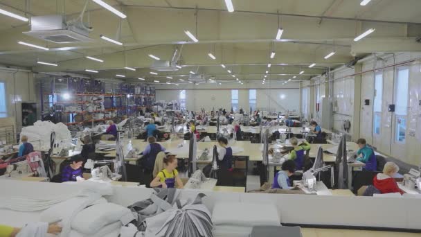 Seamstress Works Garment Factory Textile Production Working Process Sewing Professional — Video Stock