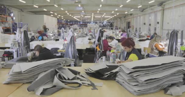 Velká Šicí Dílna Švadleny Vyrábějí Oblečení Továrně Továrna Oblečení Workshop — Stock video