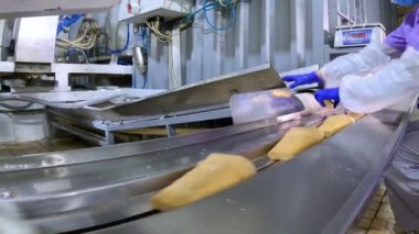 Dondurma üretimi. Otomatik dondurma üretimi. Otomatik dondurma üretim hattı.