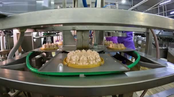 컨베이어 라인에 케이크 케이크 공장에서의 케이크 케이크를 자동으로 만드는 — 비디오