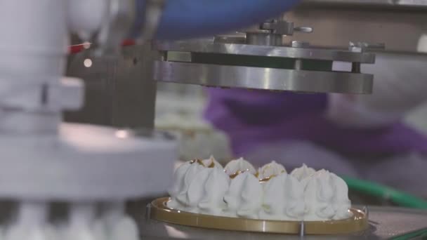 Automatyczna Produkcja Lodów Automatyczny Przenośnik Tworzenia Tortu Lodowego Lody Ładnie — Wideo stockowe