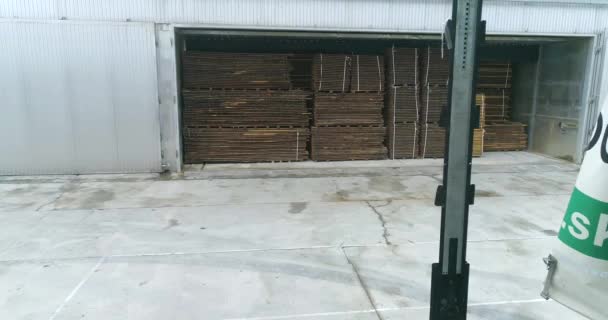 Suszenie Surowego Drewna Specjalnej Komorze Fabryce Suszenie Drewna Wysokiej Temperaturze — Wideo stockowe