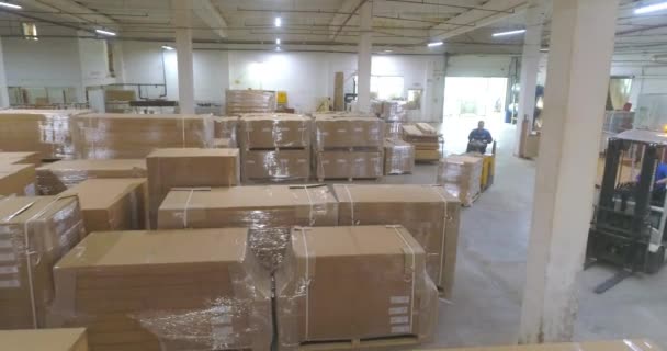 Gudang Besar Dengan Produk Jadi Pabrik Gudang Dengan Kotak Pabrik — Stok Video