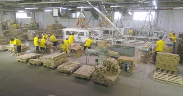 Mensen Werken Winkel Workshop Voor Productie Van Meubelplaten Industrieel Interieur — Stockvideo