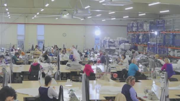 Many Seamstresses Work Garment Factory Working Process Garment Factory Large — 图库视频影像