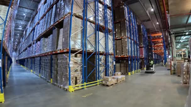 Large Warehouse Workers Work Warehouse General Plan Time Lapse Workflow — Vídeo de Stock