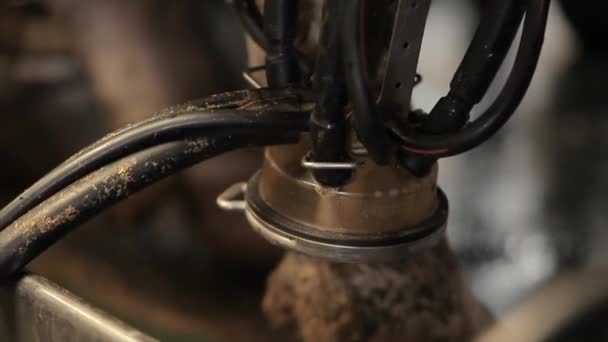 Muls Automat Vaci Procesul Mulgere Vacilor Fermă Lapte Muls Automat — Videoclip de stoc
