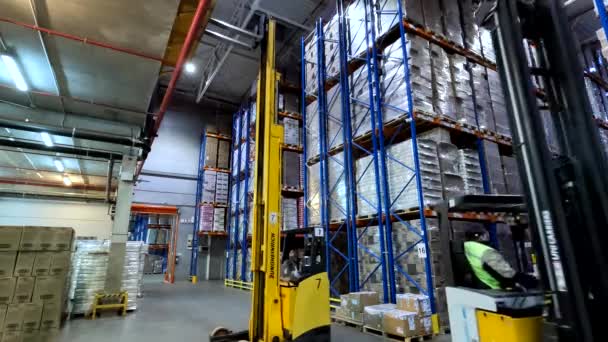 Forklift Work Warehouse Modern Forklift Works Warehouse Work Special Equipment — Stock Video