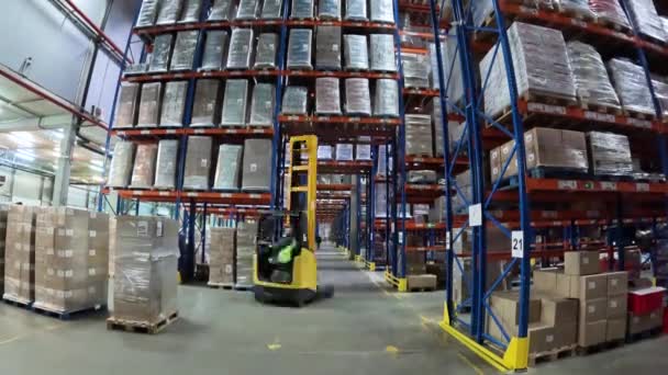 Large Warehouse Workers Work Warehouse General Plan Time Lapse Workflow — стоковое видео