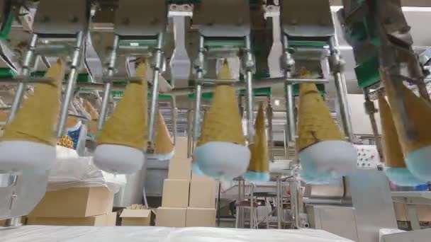 Морозиво Конвеєрній Лінії Конус Морозива Конвеєрі Автоматизована Лінія Виробництва Морозива — стокове відео