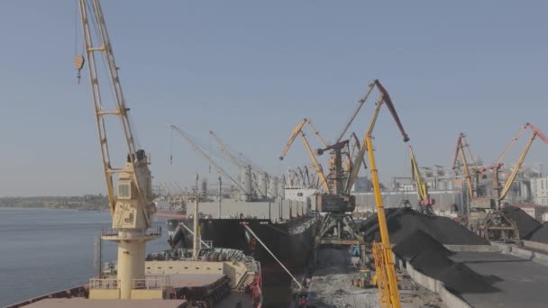 Rozładowuję Węgiel Żurawi Statek Jest Rozładowywany Przez Dźwigi Porcie Statki — Wideo stockowe