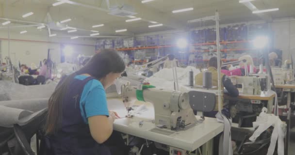 Многие Швеи Работают Швейной Фабрике Рабочий Процесс Швейной Фабрике Большая — стоковое видео
