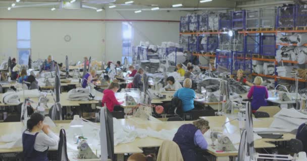 Een Naaister Werkt Een Kledingfabriek Textielproductie Het Werkproces Naaien Van — Stockvideo