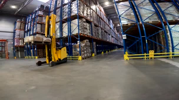Modern Forklift Large Warehouse Forklift Cargo Warehouse Industrial Interior — Wideo stockowe