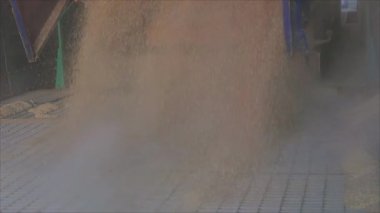 Kamyondan depoya yavaş çekimde buğday boşaltımı, depoya ağır çekimde buğday yüklemesi..