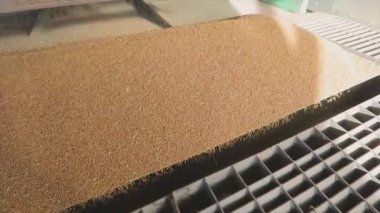 Kamyondan depoya yavaş çekimde buğday boşaltımı, depoya ağır çekimde buğday yüklemesi..