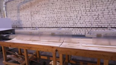 Sorting line on the conveyor belt, women working on the conveyor belt, sorting line at a furniture factory.
