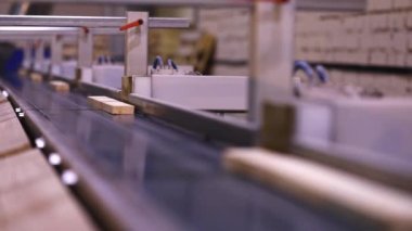 Tahta kirişin uzunluğunun otomatik belirlenmesi, modern taşıyıcı, otomatik hat, modern mobilya üretim fabrikası.