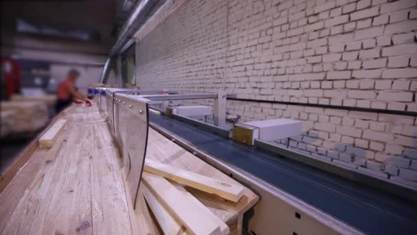 Determinazione Automatica Della Lunghezza Una Trave Legno Trasportatore Moderno Linea — Video Stock