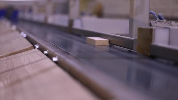木製のビームの長さの自動決定 近代的なコンベア 自動化ライン 近代的な家具製造工場 — ストック動画