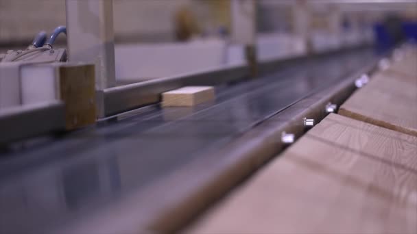 Meubelproductie Transportband Een Meubelfabriek — Stockvideo