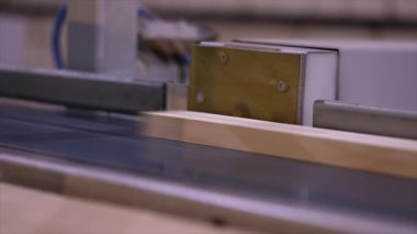 Tahta kirişin uzunluğunun otomatik belirlenmesi, modern taşıyıcı, otomatik hat, modern mobilya üretim fabrikası.