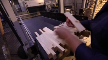 Machine for milling the ends of a wooden beam, the production of furniture panels. Automated line production line in modern production.